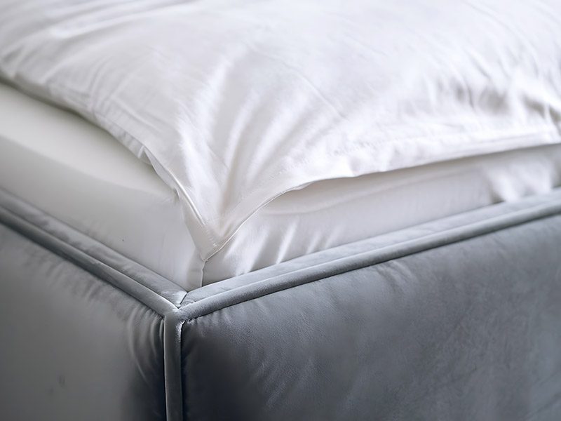 Ανωστρώματα